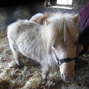 Dateiname=image3.JPG
Dateigröße=496KB
Abmessungen: 2048x2048
hinzugefügt am: 20. April 2023 image3.JPG