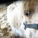 Dateiname=image4.JPG
Dateigröße=469KB
Abmessungen: 2048x2048
hinzugefügt am: 20. April 2023 image4.JPG