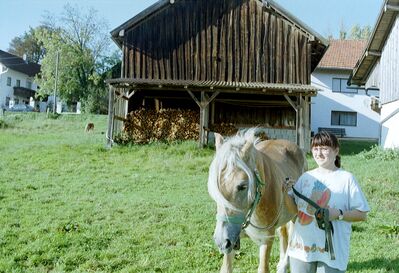 Orchidee + 24.12.2022
