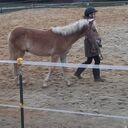 Dateiname=Nino002.jpg
Dateigröße=493KB
Abmessungen: 1728x1728
hinzugefügt am: 21. April 2023 Nino002.jpg