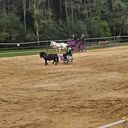 Dateiname=1000000624.jpg
Dateigröße=81KB
Abmessungen: 432x432
hinzugefügt am: 22. April 2023 1000000624.jpg