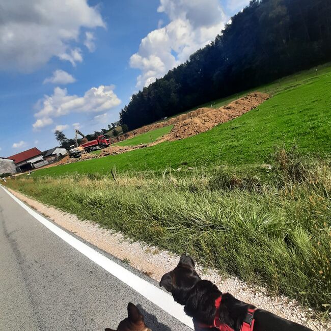 WhatsApp Image 2022-09-12 at 14.34.20
