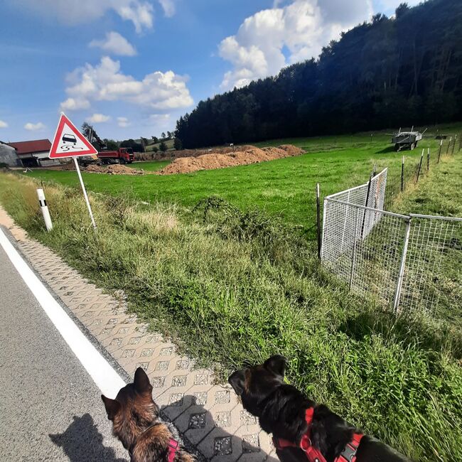 WhatsApp Image 2022-09-12 at 14.34.21 (2)
