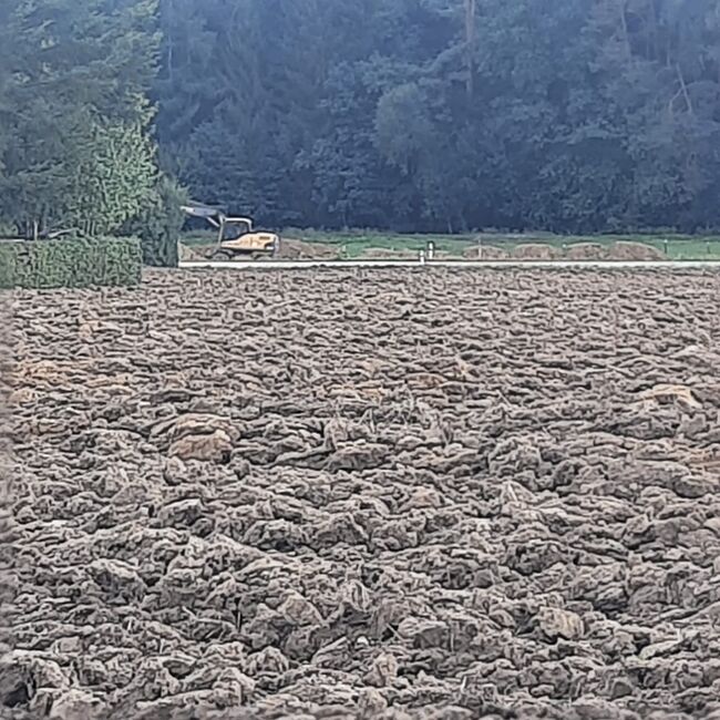 WhatsApp Image 2022-09-12 at 14.34.23 (2)
