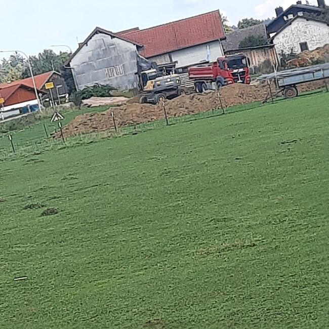 WhatsApp Image 2022-09-12 at 14.34.24
