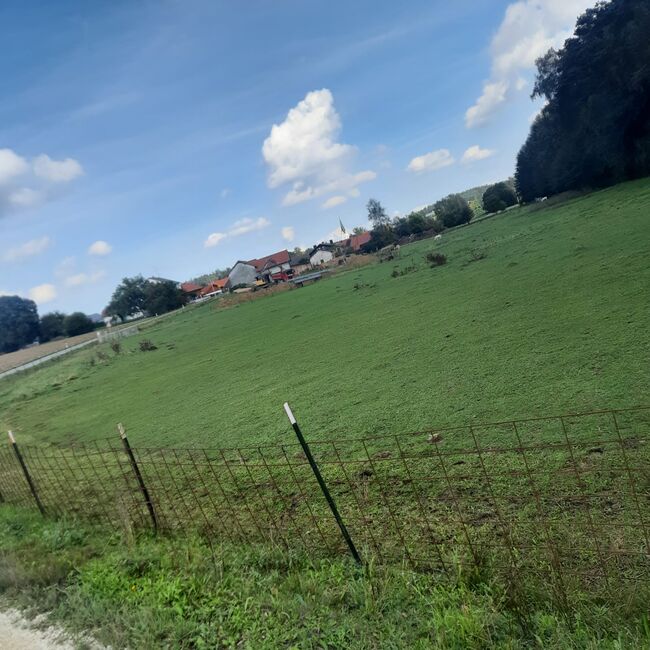 WhatsApp Image 2022-09-12 at 14.34.24 (1)
