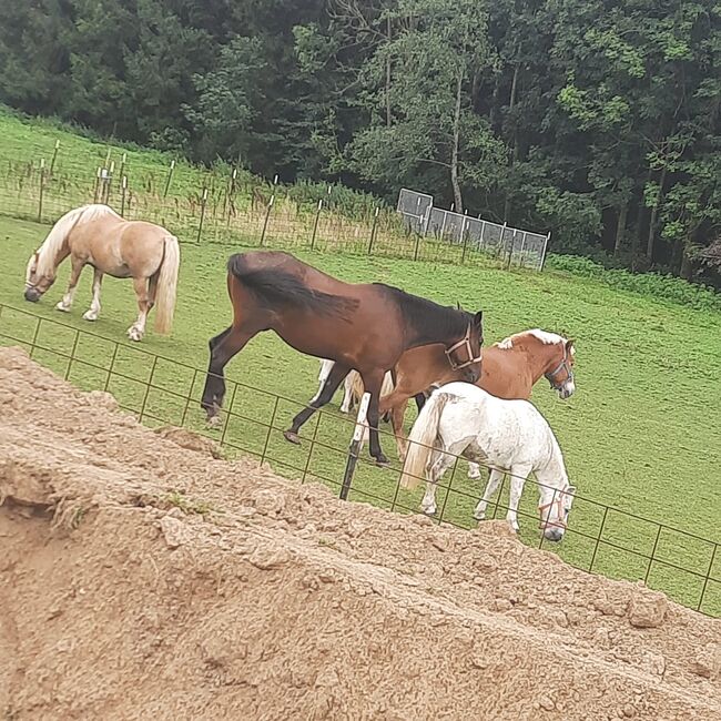 WhatsApp Image 2022-09-13 at 20.21.04
