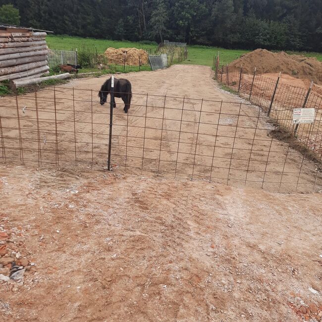 WhatsApp Image 2022-09-13 at 20.21.05 (1)
