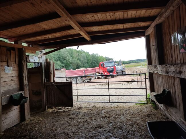 WhatsApp Image 2022-09-15 at 13.54.51 (2)
