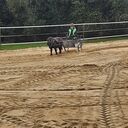 Dateiname=1000000609.jpg
Dateigröße=82KB
Abmessungen: 432x432
hinzugefügt am: 14. Oktober 2023 1000000609.jpg