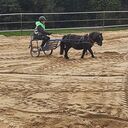 Dateiname=1000000621.jpg
Dateigröße=93KB
Abmessungen: 432x432
hinzugefügt am: 14. Oktober 2023 1000000621.jpg