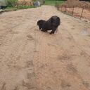 Dateiname=WhatsApp_Image_2022-09-13_at_20_21_03_28129.jpeg
Dateigröße=615KB
Abmessungen: 1728x1728
hinzugefügt am: 14. Oktober 2023 WhatsApp_Image_2022-09-13_at_20_21_03_28129.jpeg