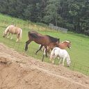 Dateiname=WhatsApp_Image_2022-09-13_at_20_21_04.jpeg
Dateigröße=473KB
Abmessungen: 1728x1728
hinzugefügt am: 14. Oktober 2023 WhatsApp_Image_2022-09-13_at_20_21_04.jpeg