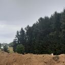 Dateiname=e003.jpeg
Dateigröße=202KB
Abmessungen: 1728x1728
hinzugefügt am: 14. Oktober 2023 e003.jpeg