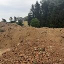 Dateiname=f001.jpeg
Dateigröße=436KB
Abmessungen: 1728x1728
hinzugefügt am: 14. Oktober 2023 f001.jpeg